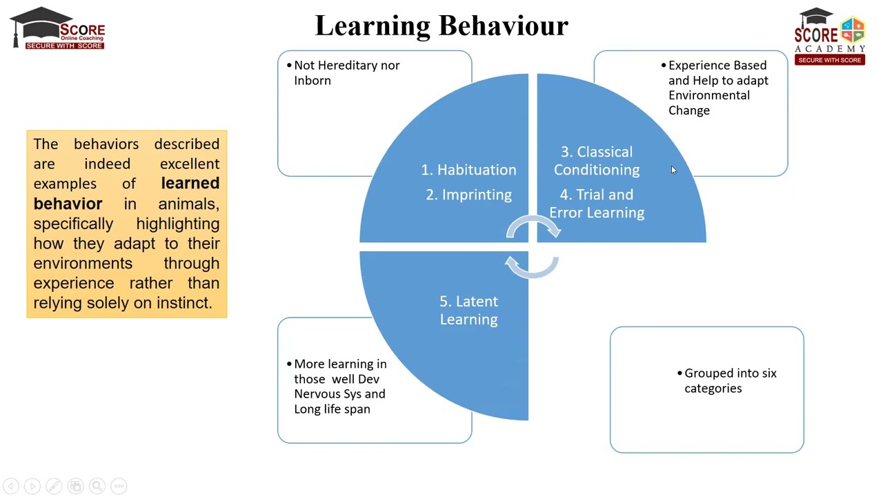 Learning, Habituation, Imprinting, Latent, Operant, Insight, Spatial Behaviour
