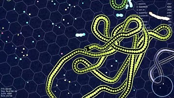 I Spent 100 Hours Playing Gulper io and Discovered the CRAZY TRUTH!