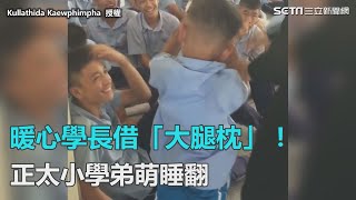 暖心學長借大腿枕正太小學弟萌睡翻三立新聞網SETN.com