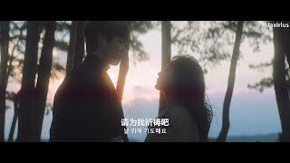 【中韓字幕】金泰妍 / 太妍 - Nights Into Days (Prod. By Naul) 中字Mv