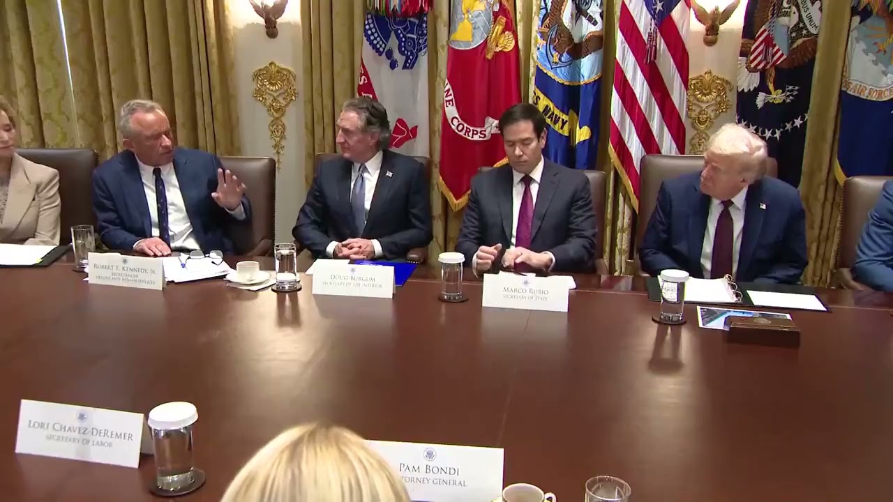 RFK Jr claims that windmills are "wiping out the whale population" in the Atlantic