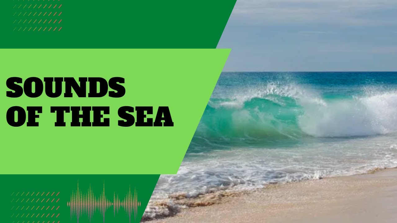 Sounds of the Sea - YouTube
