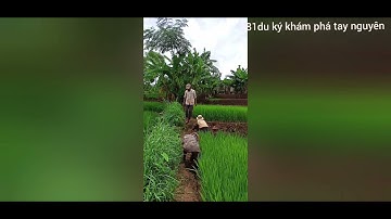 Khám phá thác đôi  Gia Lai