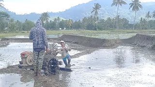 pengolahan sawah banyuwangi #Bag75 Dengan Joki Saudara MASKUR TRAKTOR KUBOTA QUICK G1000