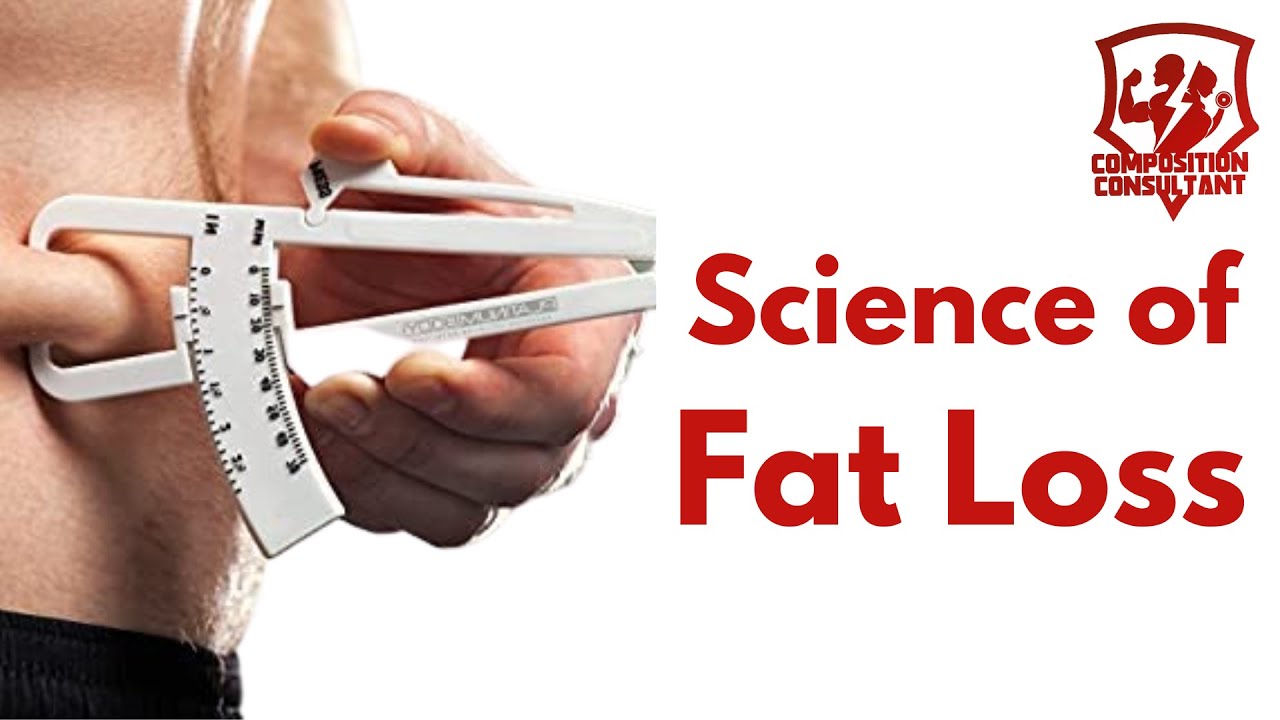 Science of the BEST fat loss methods - YouTube