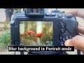 How to blur background in Portrait mode Photography for beginner nikon coolpix B700 P900 Tutorial