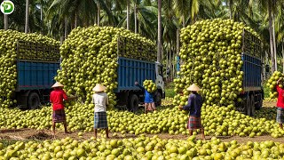   Most Satisfying Harvest Compilation   Amazing Agriculture U0026 Farming Moments