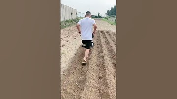 One machine for multiple uses, save time effort and manpower Orchard greenhouse shortsvideo #shorts