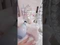 デート前日のナイトルーティン🛁🫧👼🏻💘田舎住みでもキラキラしたい🥹🤍#music #kpop #vlog #Francfranc #ジェラピケ #ナイトルーティン