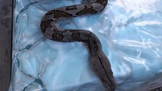 Pulau Terpencil Menarik di Sabah, Malaysia ll Island Living