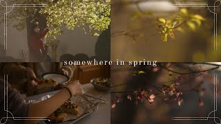 somewhere in spring ~ some light academic & cottagecore aesthetics