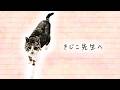 「きじこ先生へ」― 愛猫へ贈る感謝の手紙(コンテスト入賞作品)―