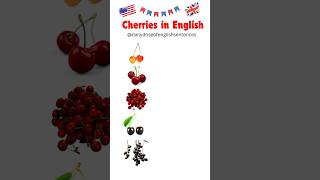 🍒 Types of Cherries in English! | Learn Cherry Names & Varieties 🍒 #cherry #english