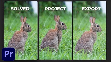 SOLVED - Export Colors Not Matching Project - Adobe Premiere Pro