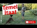 Temel İtaat Nedir?