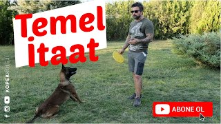 Temel İtaat Nedir?