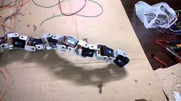 Snake Robot( Servo testing 2 )