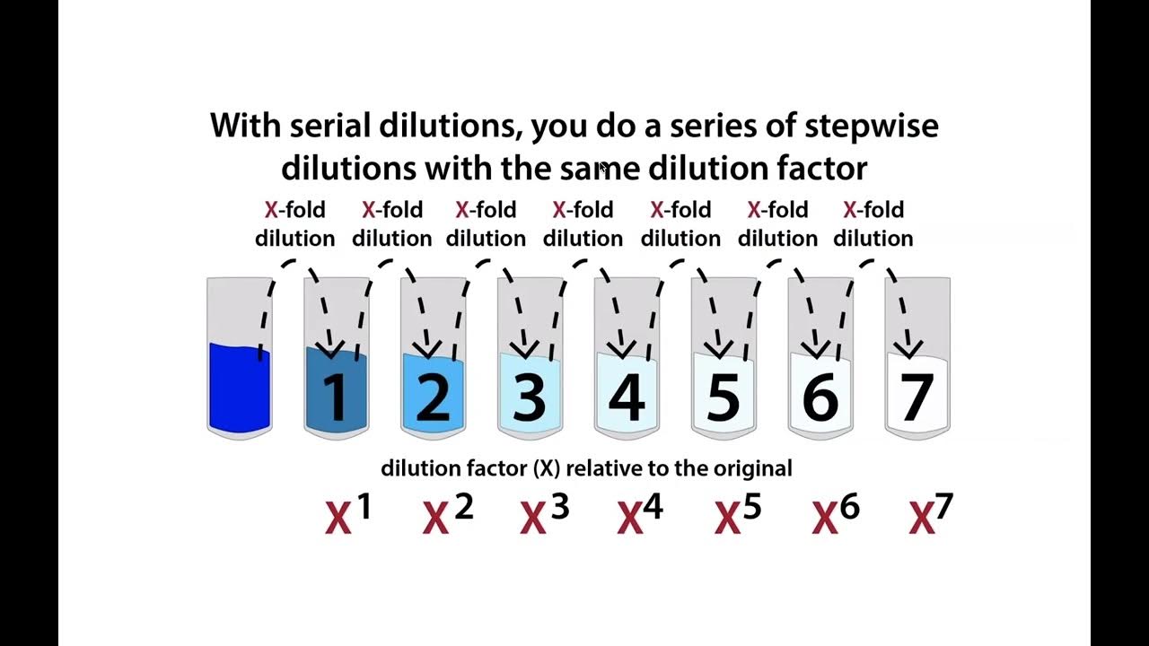 Relative concentrations and dilution calculations, including serial