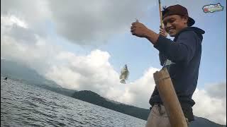 Download lagu Mancing Nila dan Serok Udang di Danau Moat Boltim Sulawesi Utara