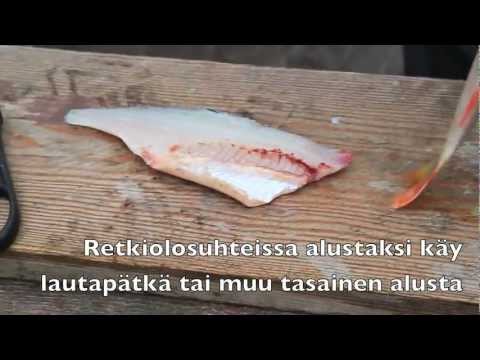 Video: Ahven Puhdistaminen