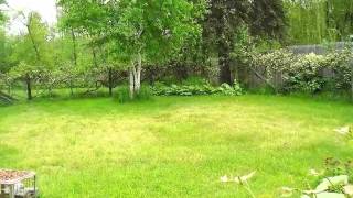 Homes for Sale - -0- NINTH AVENUE TAWAS CITY MI 48763 - Tom Misiano