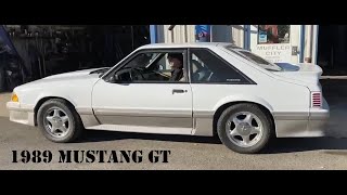 1989 Mustang GT: Flowmaster knock off mufflers