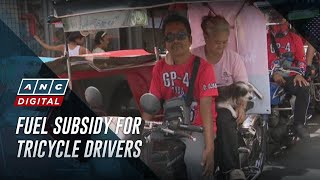 Aid rollout begins for tricycle drivers in Metro Manila | ANC