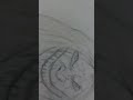 Nkull the king of symbiotes