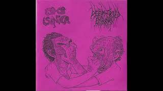 Cacasonica / Deep Fried Embryo - Split (2011)