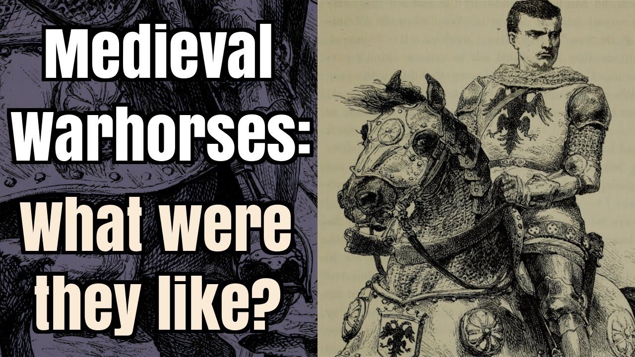Medieval Warhorses - What were they like?