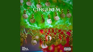 çingenem - Serial Chiller