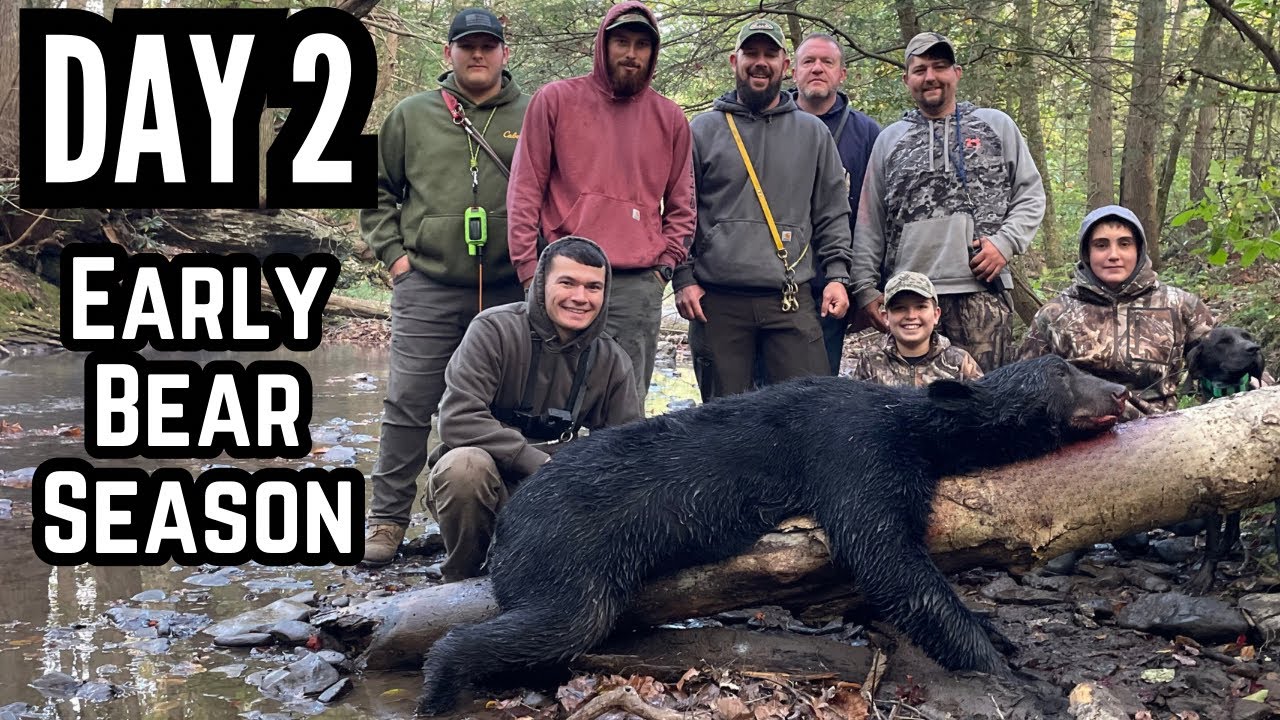 DAY 2 of Bear Hunting Season with Hounds YouTube