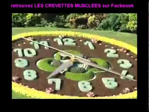 PARODIE de " l'horloge tourne" special DSK , dom d...