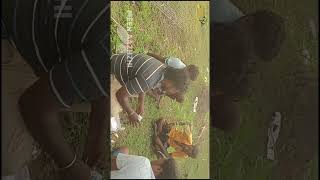 வயலூர்ல Biofloc Thotti அமைத்தோம் – New Meen Farming Start! 🐟 #MeenValarpu  #MeenBusiness #Vayalur