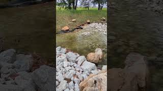 Revitalized spillway at Lake of the Woods Forest Preserve