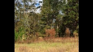 000 Old Hwy 11 video tour