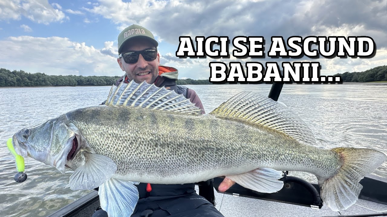 Am dat peste SALAI BABANI pe CURENT TARE! Surprize pe o ZONA NOUA a DUNARII