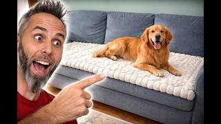Best Dog Blanket for Couch? @DadReviews