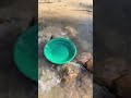 gold pan adventures in California #goldrush #goldmining #golddigger #goldprospecting #goldpanning