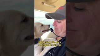 Rescuing Animals from Euthanasia 🐕