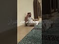 طلاب الاجازة فى القرآن 
