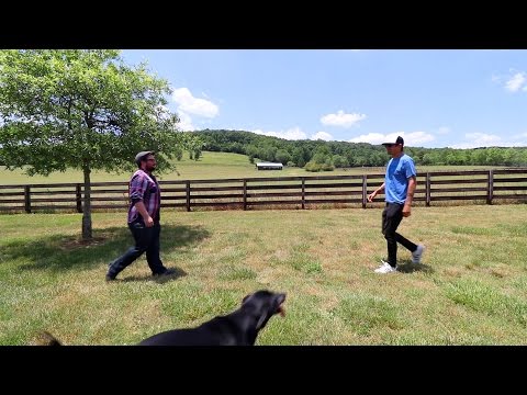 Tyler in Georgia