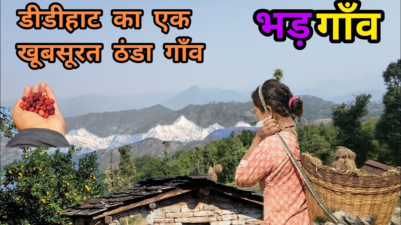 डीडीहाट क्षेत्र का एक खूबसूरत ठंडा गाँव- भडग़ांव और जल देवी मंदिर मंदिर के दर्शन#uttrakhandculture