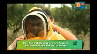 ONG Plan Bee en  Factor de Cambio