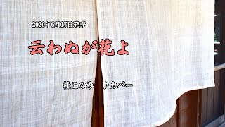 郷愁おけさ 杜このみ 歌詞