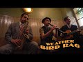 The ragtime nightmare  weather bird rag