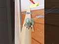 <ひみつのおるすばん>水ゼリーと米粒たちがドライアーであそんだよ。リスポーンするとへんなことがおきたよ#ロブロックス #roblox #ショート #secret #ひみつのおるすばん #shorts