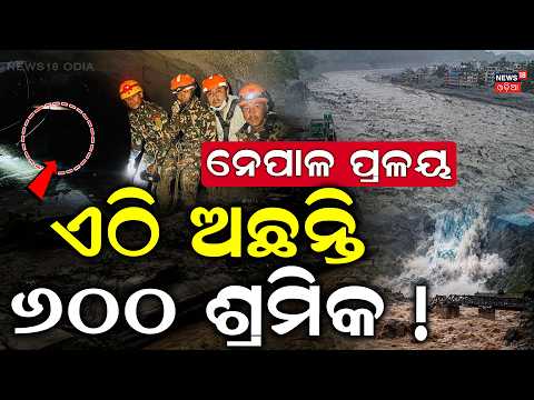 ଏଠି ଅଛନ୍ତି ୬୦୦ ଶ୍ରମିକ ! Nepal Latest News | Nepal Flash Flood | Nepal News Today | Odia News | N18G