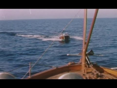 Dangerous Charter (1962) - YouTube