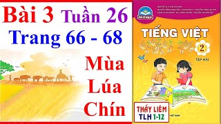 Tiếng Việt Lớp 2 Bài 3 Tuần 26 | Mùa Lúa Chín | Trang 66 - 68 | Chân Trời Sáng Tạo